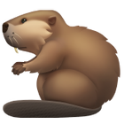 Animali