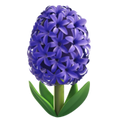 Aromatiche