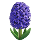 Aromatiche